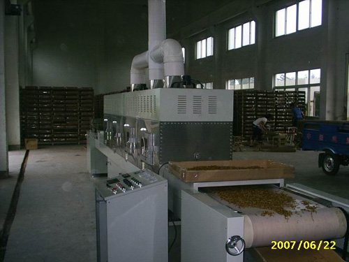 Microwave Drying Equipment for Mealworm